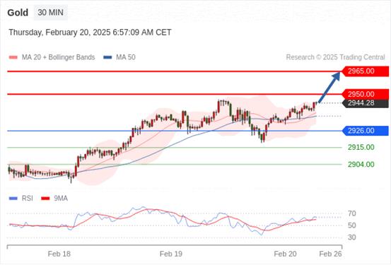 【XM外汇平台】：2025年2月20日欧洲开市前，每日技术分析(图1)