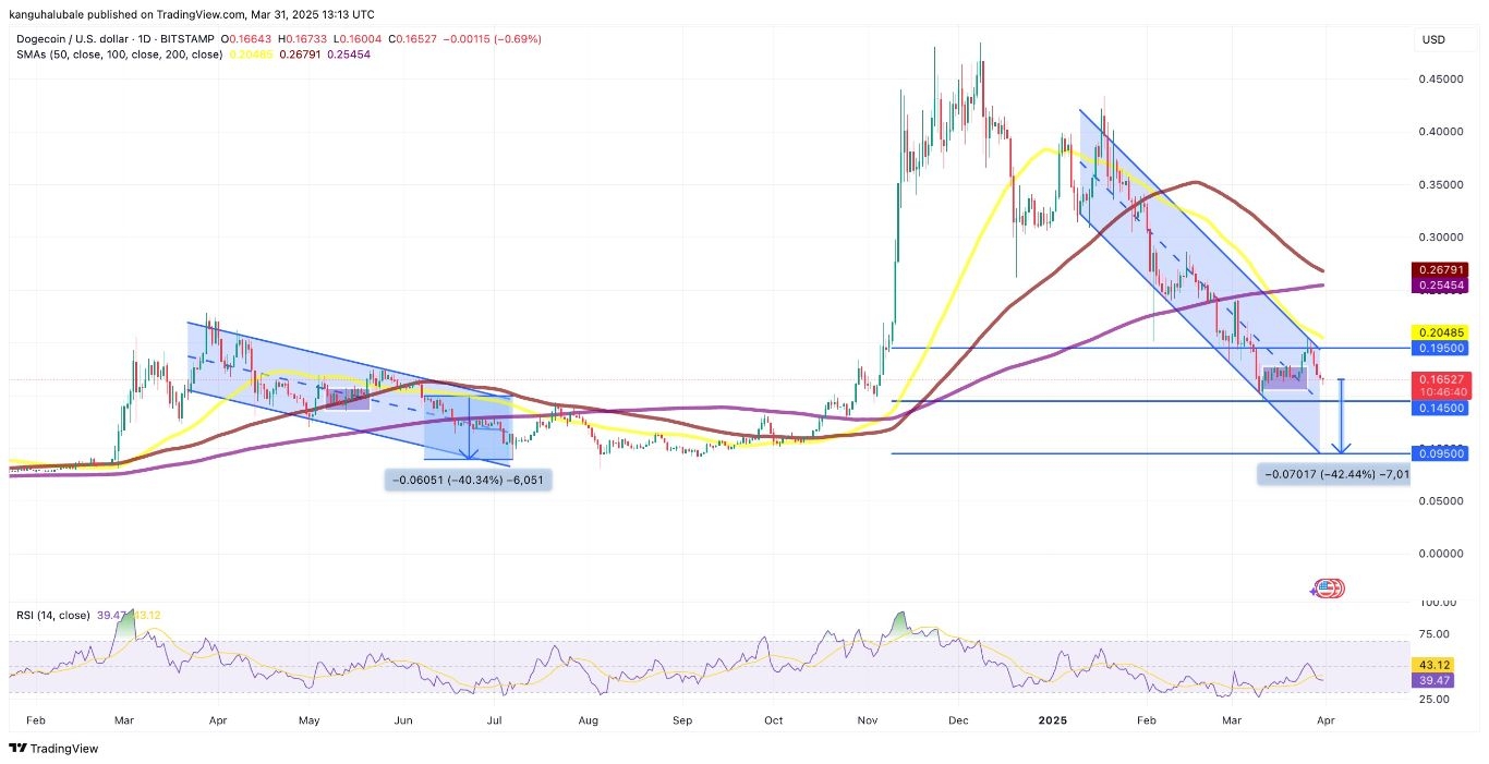 【XM Group】--DOGE Price Risks 42% Drop as Elon Musk Rules Out Government Use(图1)