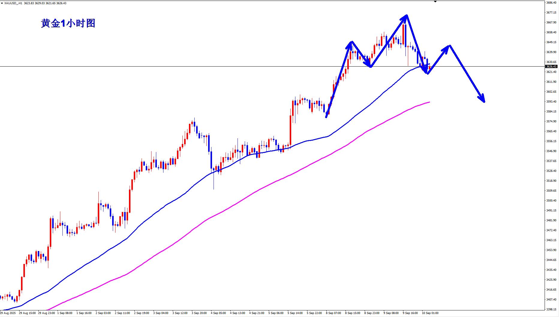【XM外汇官网】：黄金日线射击之星，早盘反弹先空！(图1)