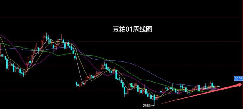 【XM外汇决策分析】：鱿鱼癫狂乱中东，焦煤双底延做低多(图5)