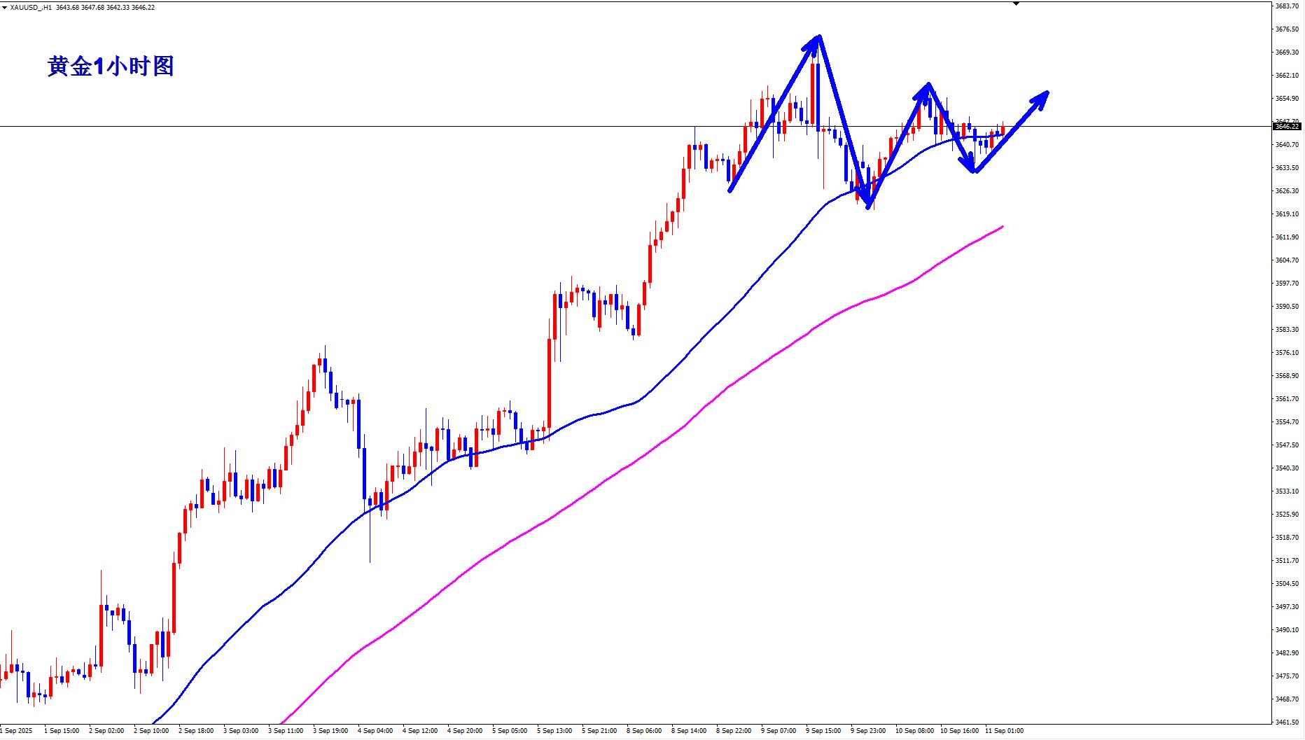 【XM外汇市场分析】：黄金牛市仍在，早盘回落蓄势继续多！(图1)