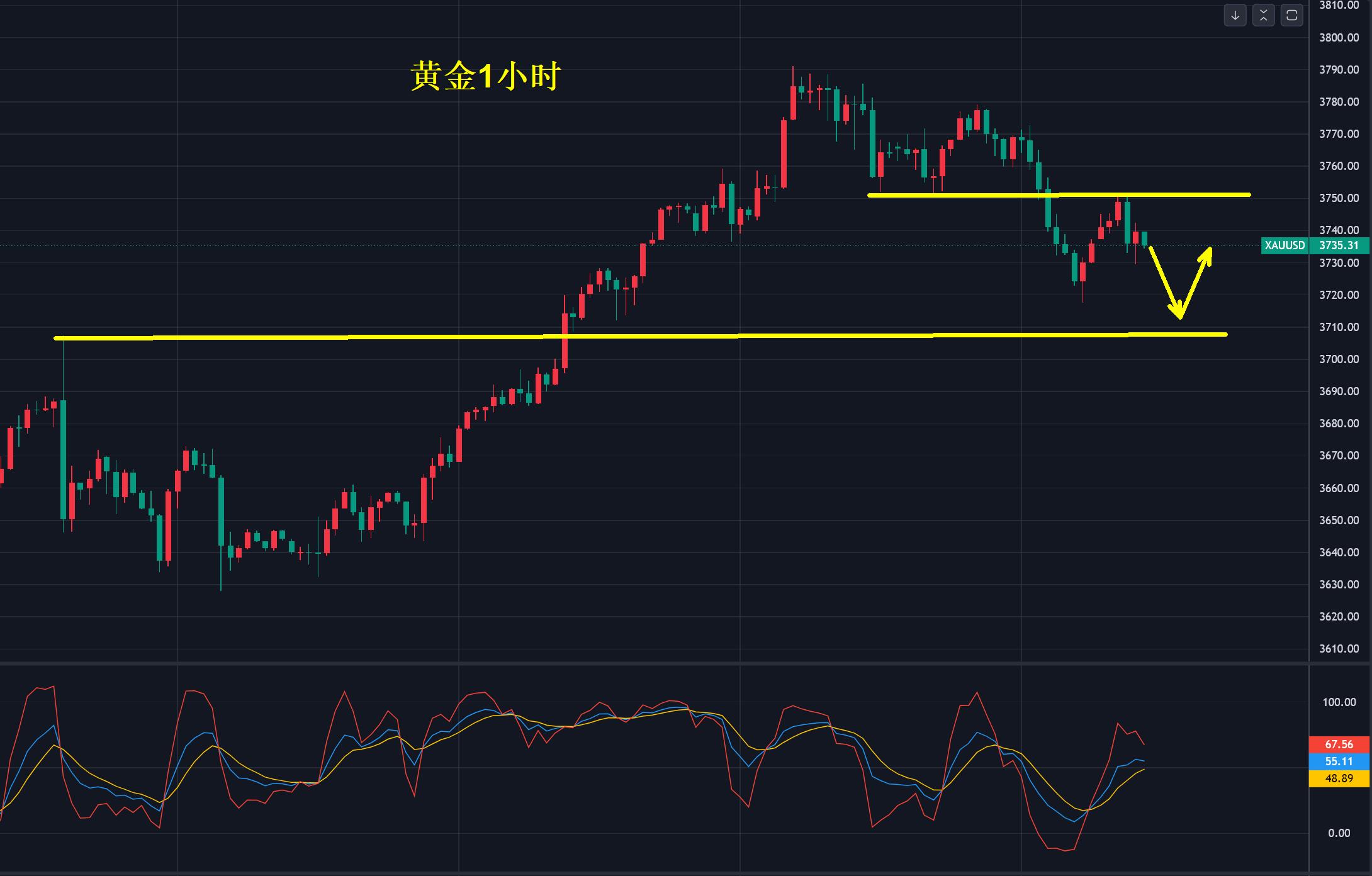 【XM外汇平台】：黄金，陷入震荡！(图1)