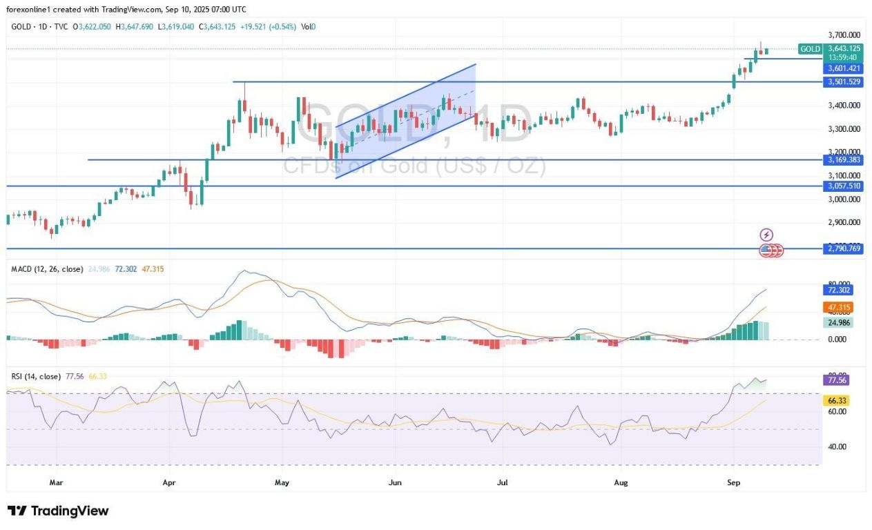 【XM Group】--Gold Analysis: Golds Rally Will Continue for a While(图1)