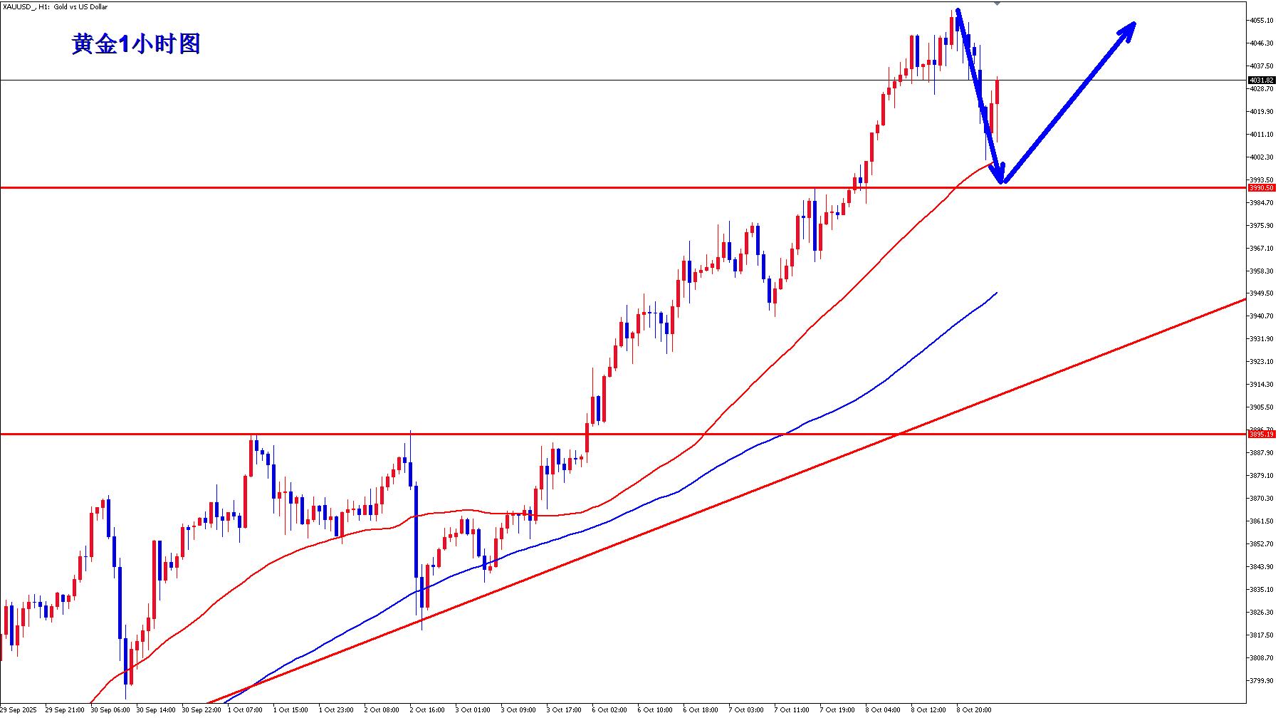 【XM官网】：黄金调整后继续多！(图1)